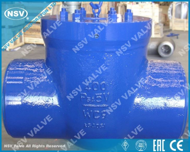 PSB Check Valve