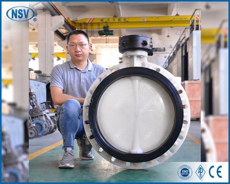PVDF Butterfly Valve best
